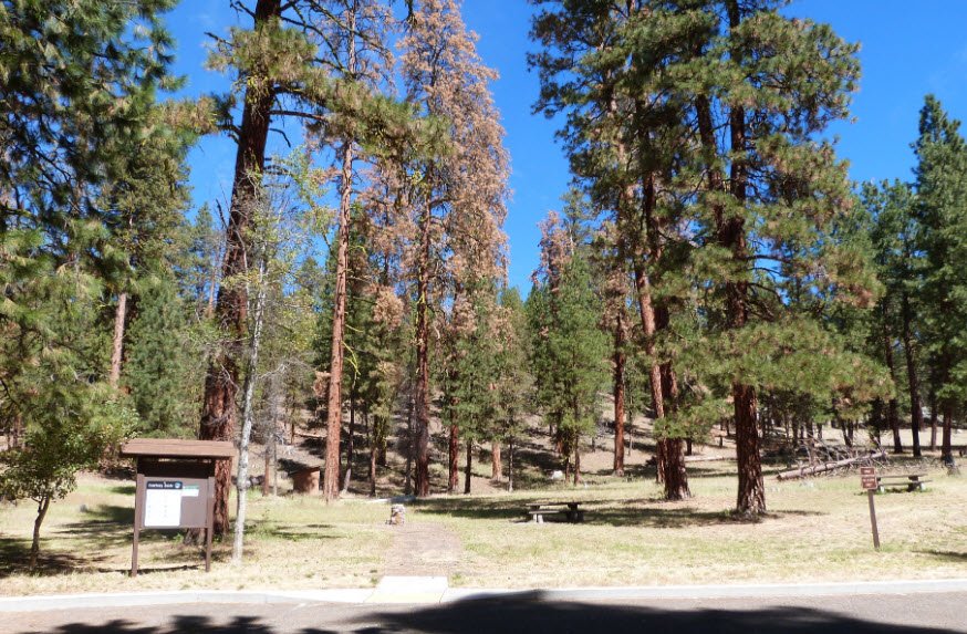 Booth State Scenic Corridor, Oregon, USA